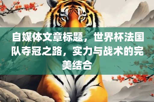 自媒体文章标题，世界杯法国队夺冠之路，实力与战术的完美结合