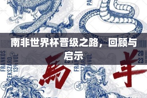 南非世界杯晋级之路，回顾与启示