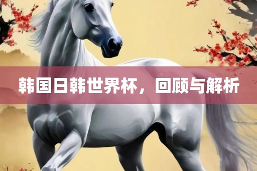 韩国日韩世界杯，回顾与解析