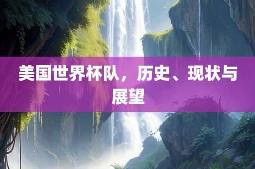 美国世界杯队，历史、现状与展望