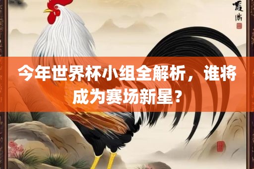 今年世界杯小组全解析，谁将成为赛场新星？