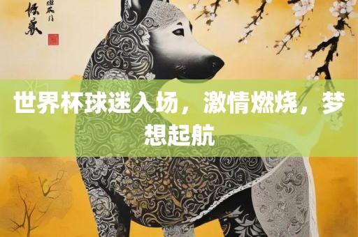 世界杯球迷入场，激情燃烧，梦想起航