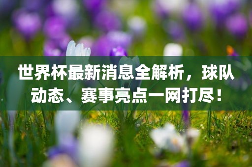 世界杯最新消息全解析，球队动态、赛事亮点一网打尽！