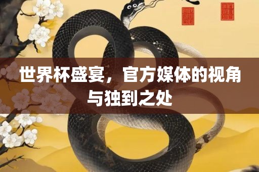 世界杯盛宴，官方媒体的视角与独到之处