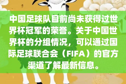 中国足球队目前尚未获得过世界杯冠军的荣誉。关于中国世界杯的分组情况，可以通过国际足球联合会（FIFA）的官方渠道了解最新信息。