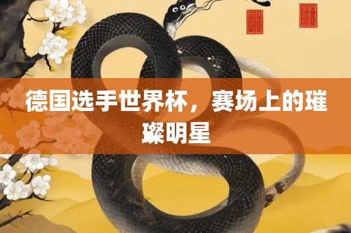 德国选手世界杯，赛场上的璀璨明星