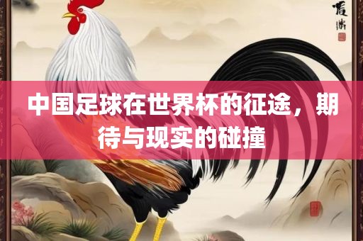 中国足球在世界杯的征途，期待与现实的碰撞