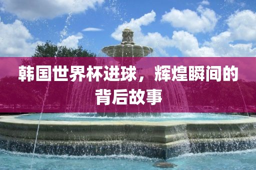 韩国世界杯进球，辉煌瞬间的背后故事