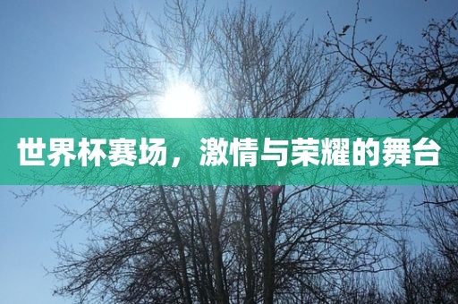 世界杯赛场，激情与荣耀的舞台