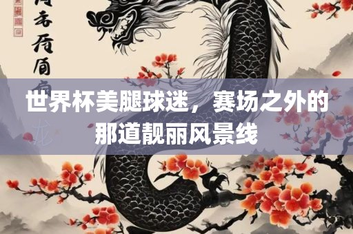 世界杯美腿球迷，赛场之外的那道靓丽风景线