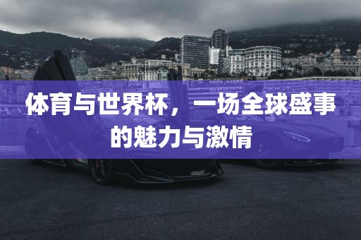 体育与世界杯，一场全球盛事的魅力与激情