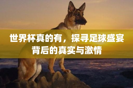 世界杯真的有，探寻足球盛宴背后的真实与激情