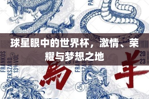 球星眼中的世界杯，激情、荣耀与梦想之地