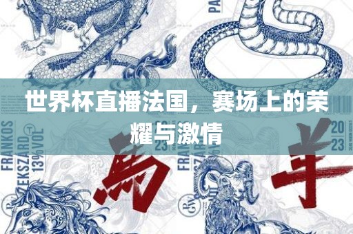 世界杯直播法国，赛场上的荣耀与激情