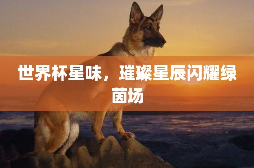吉安市靖泰电力工程有限公司世界杯星味，璀璨星辰闪耀绿茵场
