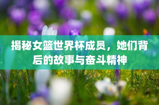 揭秘女篮世界杯成员，她们背后的故事与奋斗精神