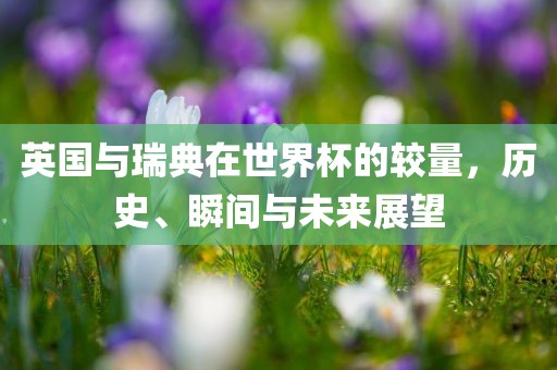 英国与瑞典在世界杯的较量，历史、瞬间与未来展望