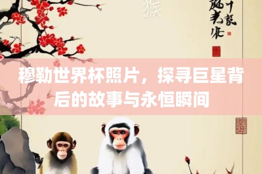 穆勒世界杯照片，探寻巨星背后的故事与永恒瞬间