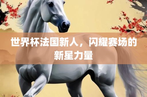 世界杯法国新人，闪耀赛场的新星力量
