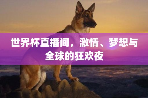 世界杯直播间，激情、梦想与全球的狂欢夜