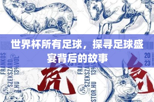 世界杯所有足球，探寻足球盛宴背后的故事