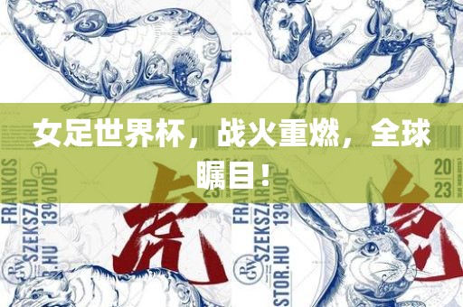 女足世界杯，战火重燃，全球瞩目！吉安市靖泰电力工程有限公司