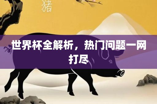 世界杯全解析，热门问题一网打尽
