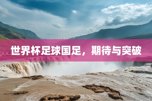 世界杯足球国足，期待与突破