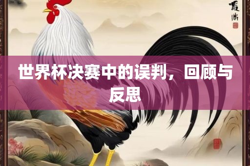 世界杯决赛中的误判，回顾与反思