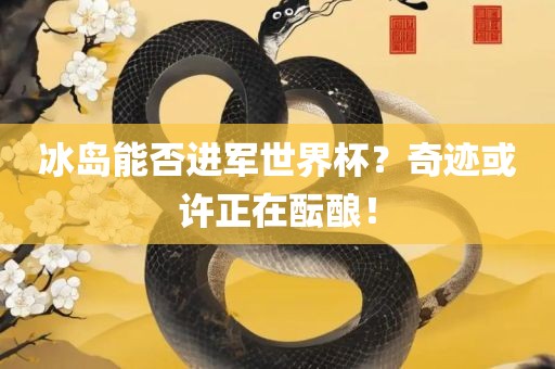 冰岛能否进军世界杯？奇迹或许正在酝酿！