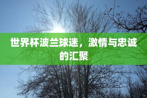 世界杯波兰球迷，激情与忠诚的汇聚