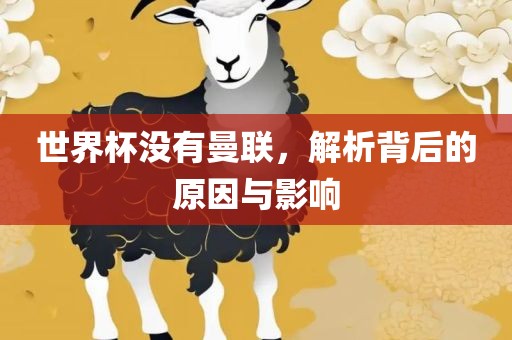 世界杯没有曼联，解析背后的原因与影响