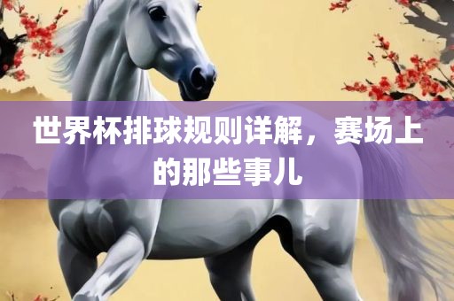 世界杯排球规则详解，赛场上的那些事儿