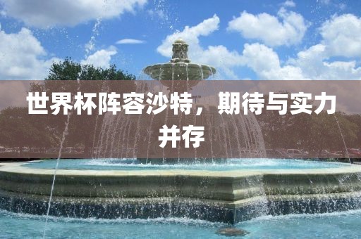 世界杯阵容沙特，期待与实力并存