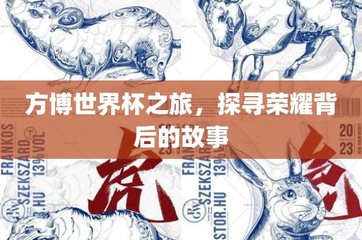 方博世界杯之旅，探寻荣耀背后的故事