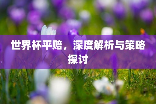 世界杯平赔，深度解析与策略探讨