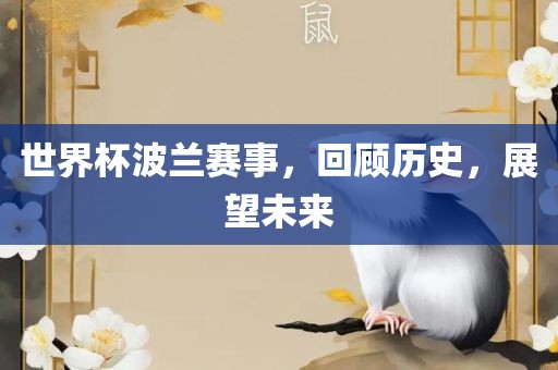 世界杯波兰赛事，回顾历史，展望未来