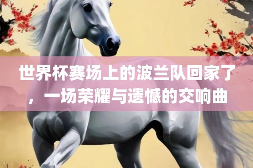 世界杯赛场上的波兰队回家了，一场荣耀与遗憾的交响曲