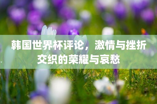 韩国世界杯评论，激情与挫折交织的荣耀与哀愁
