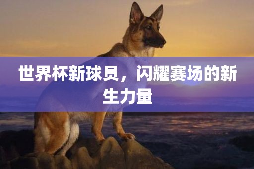 世界杯新球员，闪耀赛场的新生力量