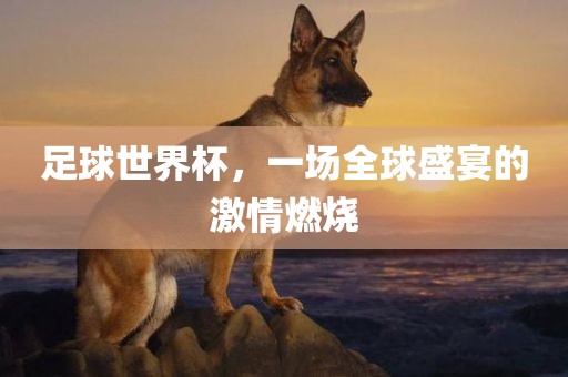足球世界杯，一场全球盛宴的激情燃烧