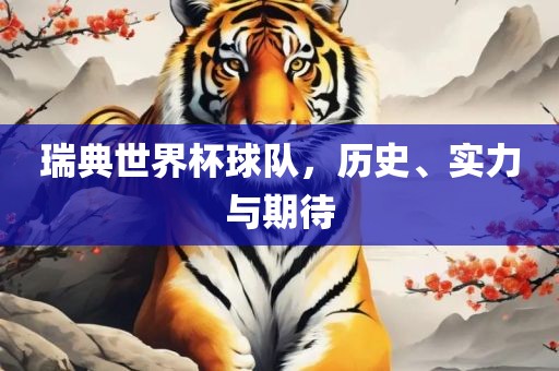 瑞典世界杯球队，历史、实力与期待