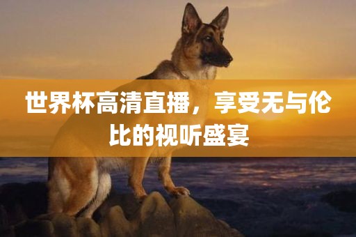 世界杯高清直播，享受无与伦比的视听盛宴