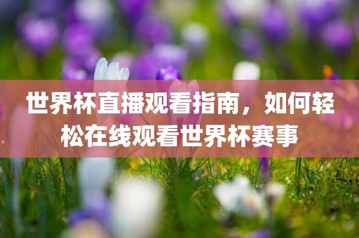 世界杯直播观看指南，如何轻松在线观看世界杯赛事吉安市靖泰电力工程有限公司