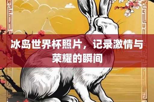 冰岛世界杯照片，记录激情与荣耀的瞬间