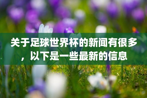 关于足球世界杯的新闻有很多，以下是一些最新的信息