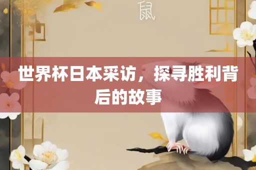世界杯日本采访，探寻胜利背后的故事