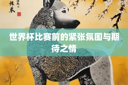 世界杯比赛前的紧张氛围与期待之情
