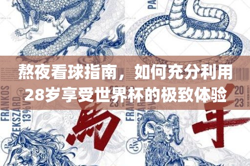 熬夜看球指南，如何充分利用28岁享受世界杯的极致体验