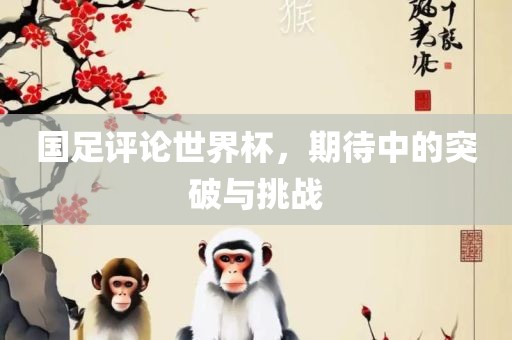 国足评论世界杯，期待中的突破与挑战